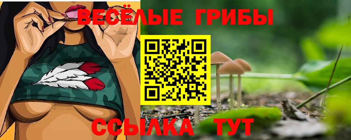 Галлюциногенные грибы Psilocybe Борисоглебск
